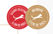 macarons elevage selectionne